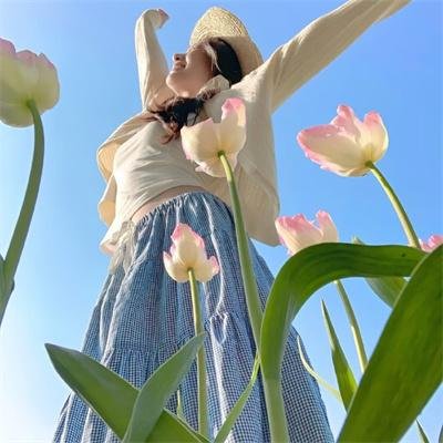 夺宝寻龙:北冥鲲宫