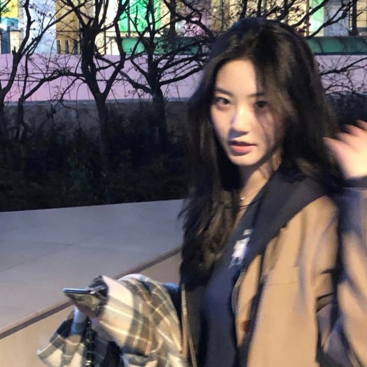 狗狗的疯狂假期